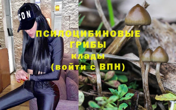 spice Алзамай