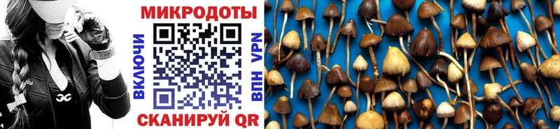 omg сайт  Мещовск  Галлюциногенные грибы Psilocybine cubensis 